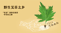 艾草越嫩越好，還是越久越好？悄悄告訴你：艾草這樣用，效果最好！