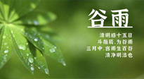 【二十四節(jié)氣灸】谷雨時節(jié)，用艾為您的健康加上一道保險！