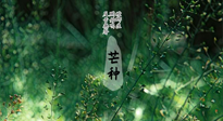 【二十四節(jié)氣灸】芒種節(jié)氣，培土補(bǔ)脾、養(yǎng)陰生津！艾灸這些穴位事半功倍！