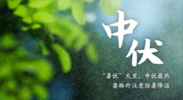 【三伏養(yǎng)生】至熱中伏，吃三樣，喝三樣，三大禁忌千萬(wàn)別犯，小心落下病根！