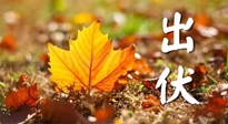 【三伏養(yǎng)生】出伏后做好養(yǎng)生很關鍵！一行要注意！