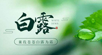 【二十四節(jié)氣灸】白露涼爽，養(yǎng)心肝脾胃、滋陰潤肺是關(guān)鍵！