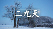 【三九養(yǎng)生】冬二九，扶陽(yáng)補(bǔ)腎氣，讓你陽(yáng)氣充足一整年！