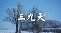 【三九養(yǎng)生】冬三九，三九第三灸，一年中最后艾灸黃金9天！