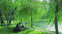 【養(yǎng)生知識(shí)】元宵入六九，春季已至，六九天的養(yǎng)生知識(shí)你知道多少？