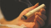 【艾灸知識】春暖花開，衣衫漸薄，再不減肥，身上的肉肉可藏不住了！