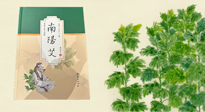 【行業(yè)資訊】國內(nèi)首部艾草專著《南陽艾》，在南陽新書首發(fā)！