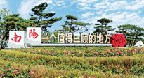 【行業(yè)資訊】南陽一個(gè)值得三顧的地方！“丹江水”“仙草艾”成為 “南陽禮物”新爆款！