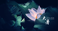 【二十四節(jié)氣灸】趁大暑好好艾灸，才不辜負(fù)三伏天的驕陽！
