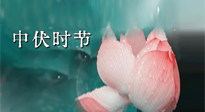 【艾灸三伏天】中伏：三伏灸的關(guān)鍵轉(zhuǎn)折點！“灸”除病根的大好時機！