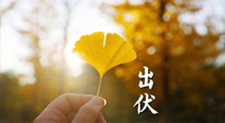 【艾灸三伏天】出伏啦！三防三宜兩穴位，防止身體“秋后算賬”！