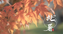 【二十四節(jié)氣灸】處暑，冬病夏治倒計(jì)時(shí)！秋涼真的要來了！