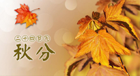 【二十四節(jié)氣灸】秋分節(jié)氣，平衡陰陽，巧用艾灸，潤燥養(yǎng)肺是關(guān)鍵！