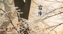 【二十四節(jié)氣灸】霜降節(jié)氣：艾灸四穴，護(hù)您冬天安然無恙！