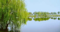 【艾灸知識】春三月，必艾灸穴位：疏肝理氣，養(yǎng)血調(diào)神！