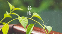 【二十四節(jié)氣灸】谷雨節(jié)氣脾土濕，艾灸降濕濁，脾旺不受邪！