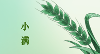 【二十四節(jié)氣灸】小滿節(jié)氣記得艾灸，悠悠長夏，健康度過！