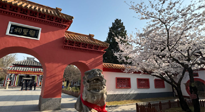 【行業(yè)資訊】新華財經(jīng)：守正創(chuàng)新，中醫(yī)藥品牌化發(fā)展“更上一層樓”！