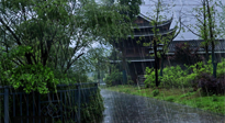 【艾灸知識】多雨的日子里，艾灸會不會加重濕氣呢？