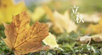 【節(jié)氣養(yǎng)生】甲辰立秋，“2做”、“2不做”，護(hù)好我們身體的正氣，預(yù)防外邪的侵襲！