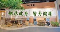 【艾草知識(shí)】小小艾草，渾身是寶，一生燃盡此身，皆為健康！