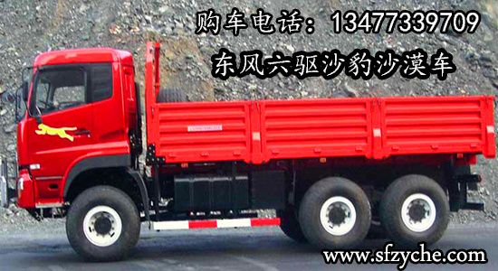 東風(fēng)牌EQ2221AX型沙漠越野車
