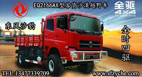 四驅(qū)沙豹客貨雙排沙漠越野車