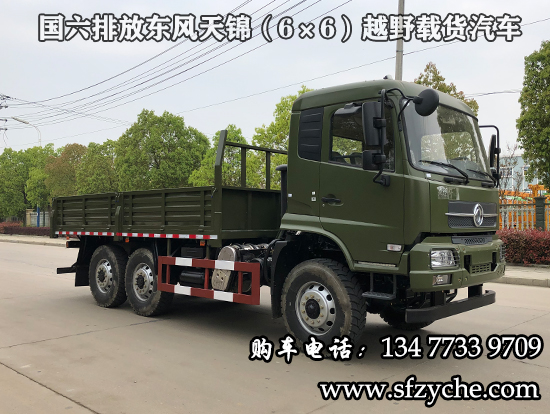 國(guó)六排放東風(fēng)天錦(6×6)越野載貨汽車
