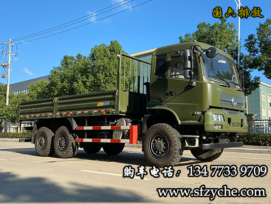 東風(fēng)牌DFV2223GP6D型越野載貨汽車